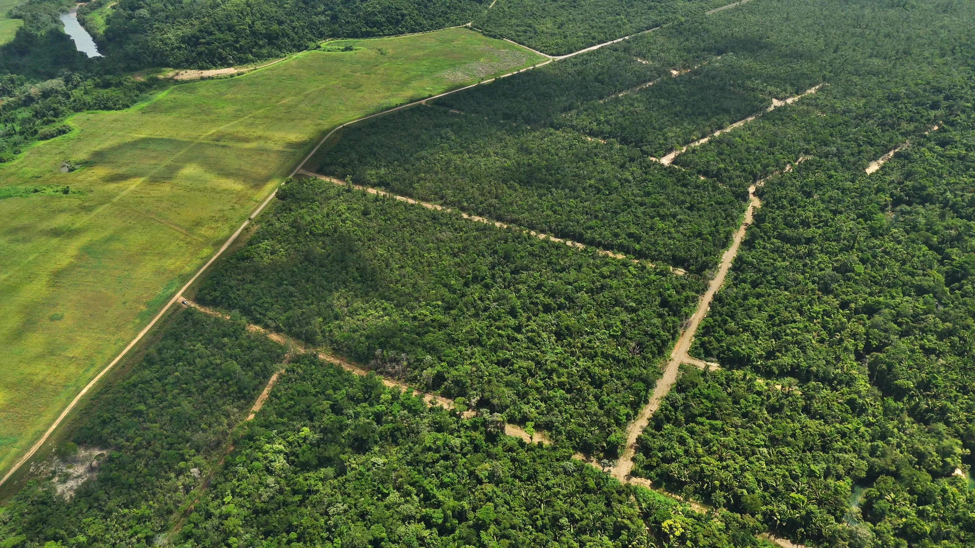 Aerial view of the roads and forested lots at Caves Branch River Estates, beside open pasture and the river