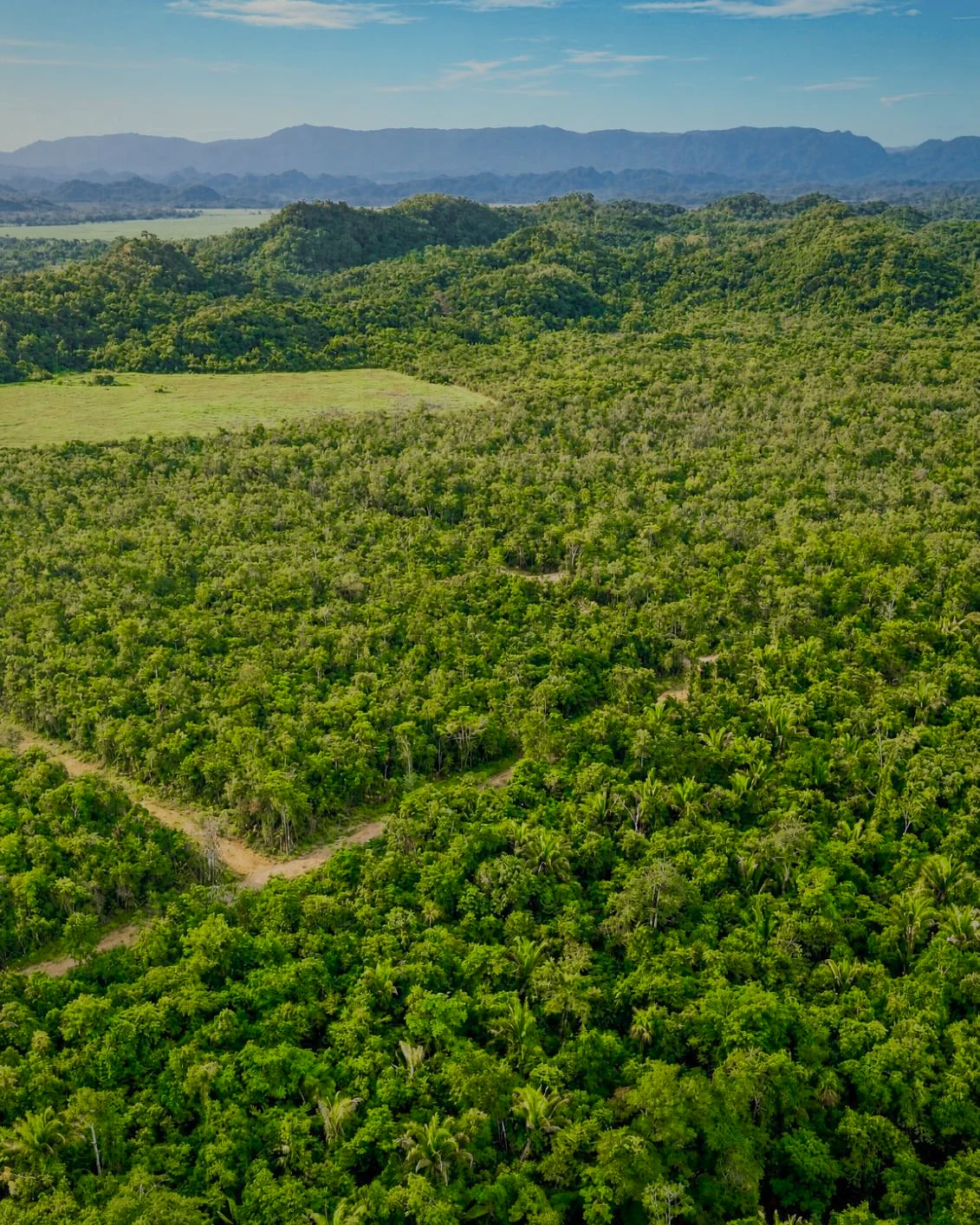 Aerial view over dense tropical forest, a cleared pasture and a dirt track, with forested hills and a distant range beyond