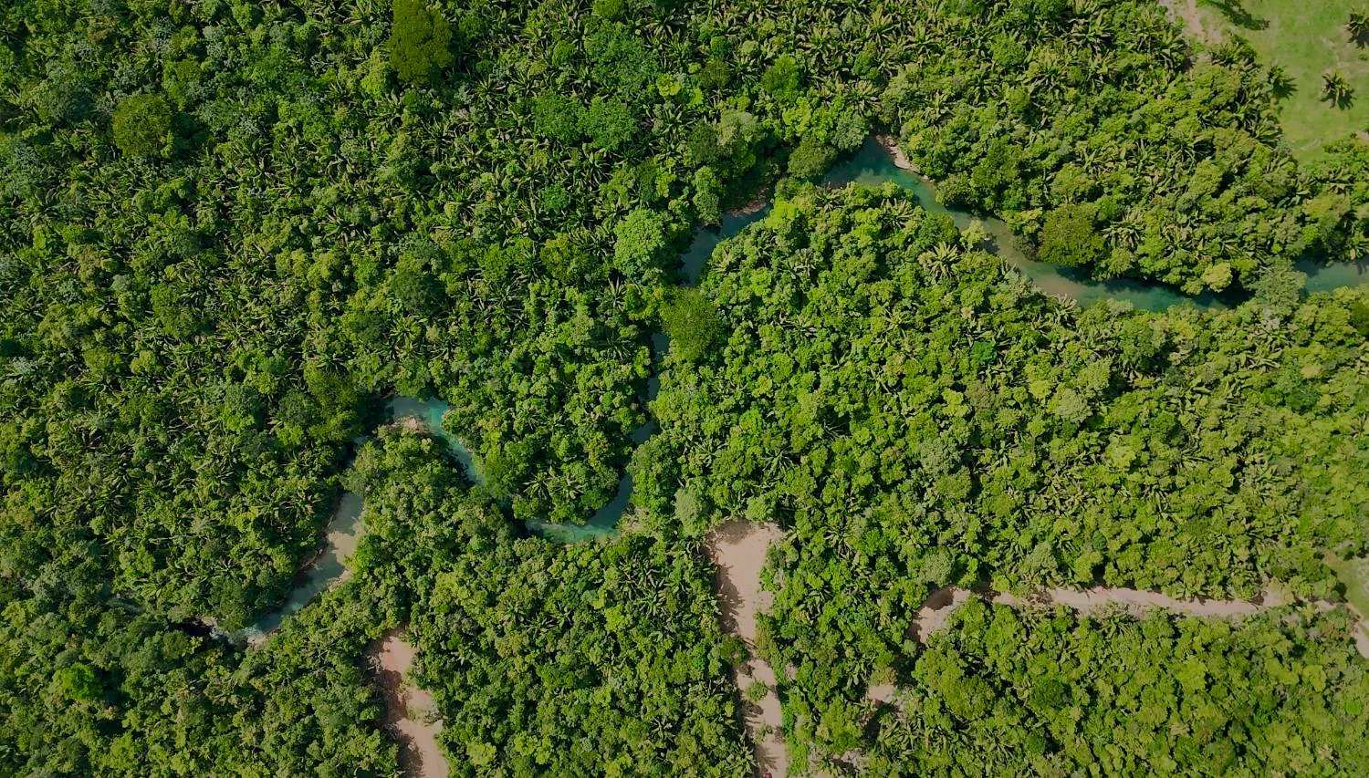 Aerial view straight down on a river winding through dense tropical forest, with a dirt track and open pasture nearby
